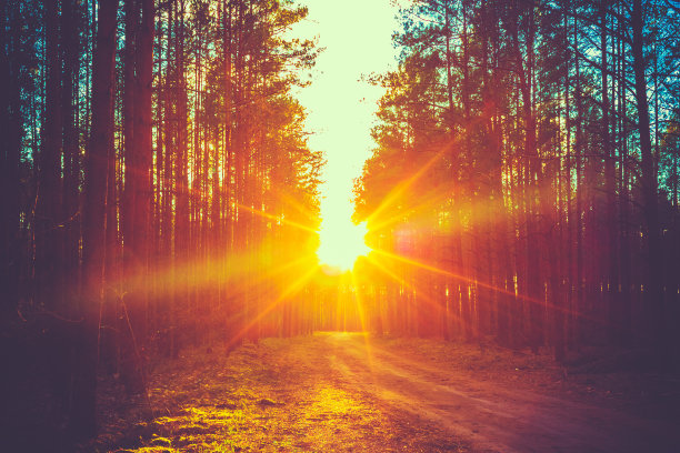 dawn