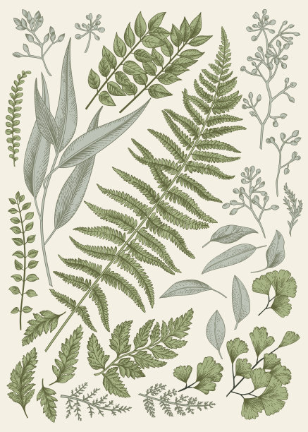 botanical