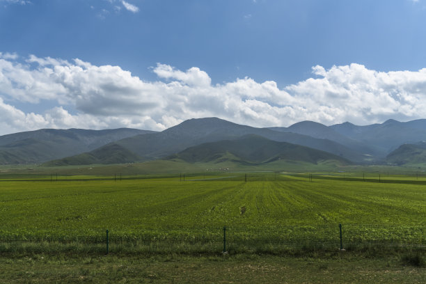 高原平原