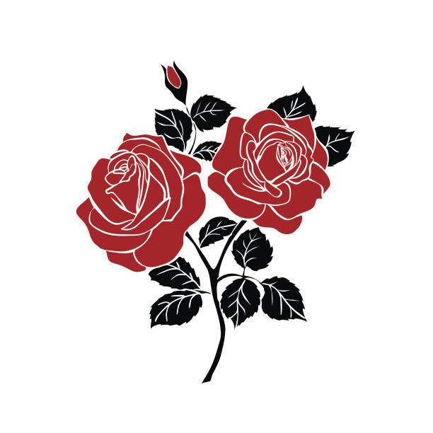 红色玫瑰插画