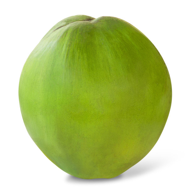 coconut