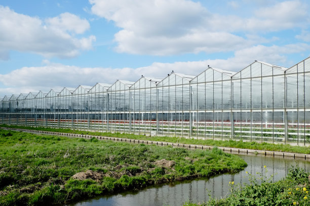 greenhouse