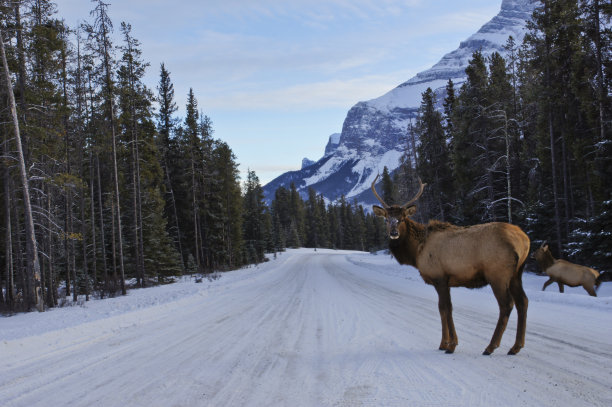 banff