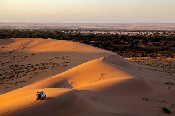 desert