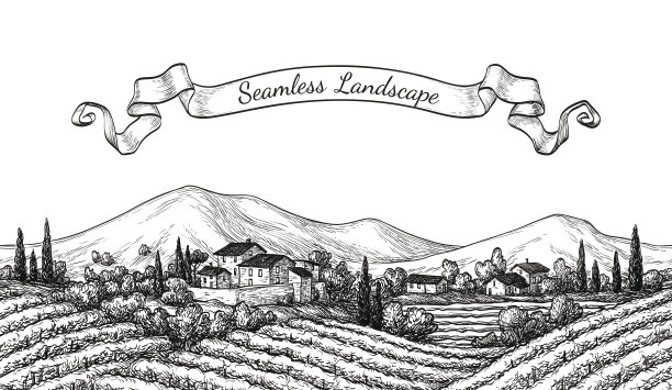 vineyard
