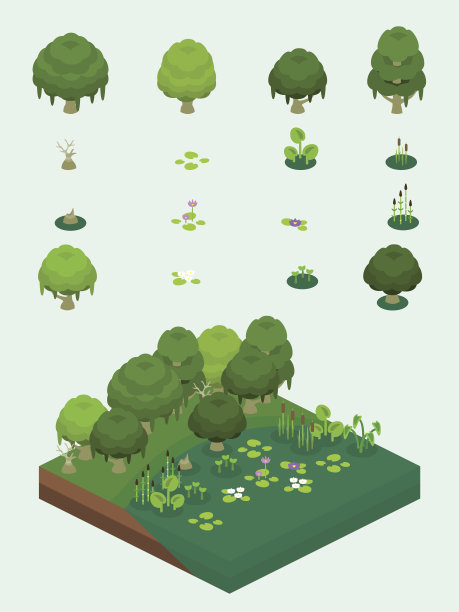wetland