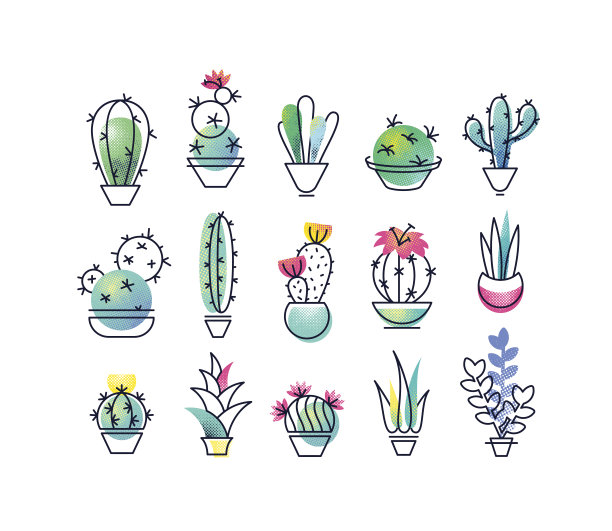 cacti