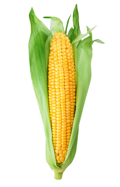 cob