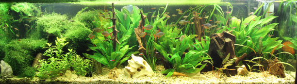aquarium