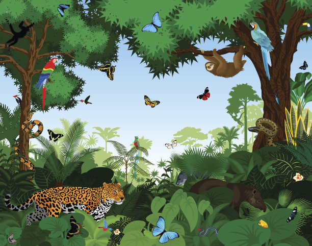 jungle
