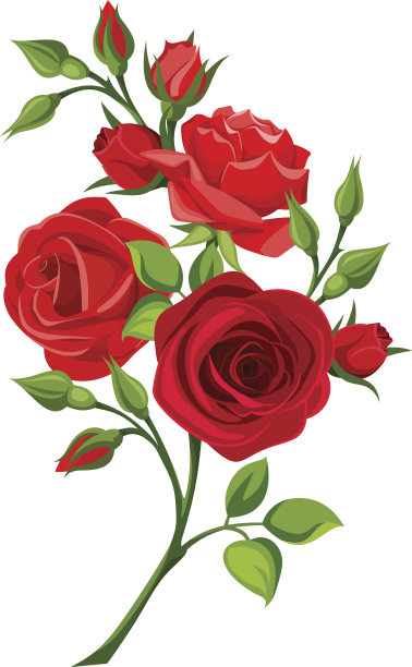 roses
