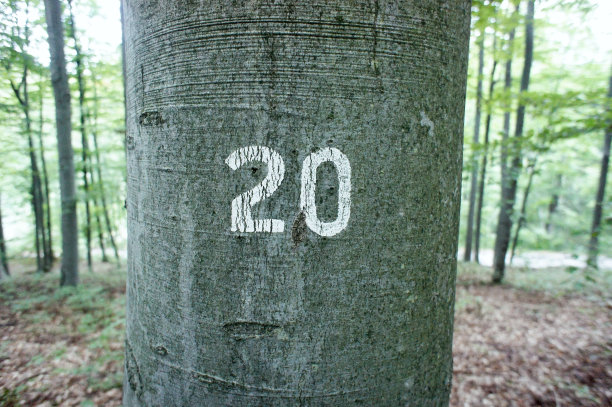 twenty