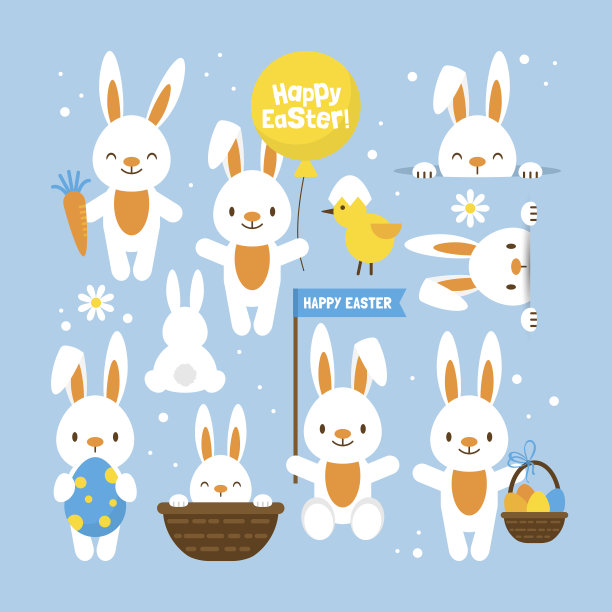 rabbit