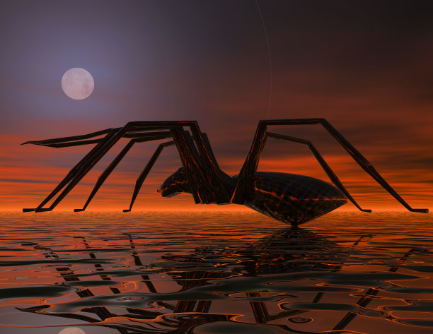 spider