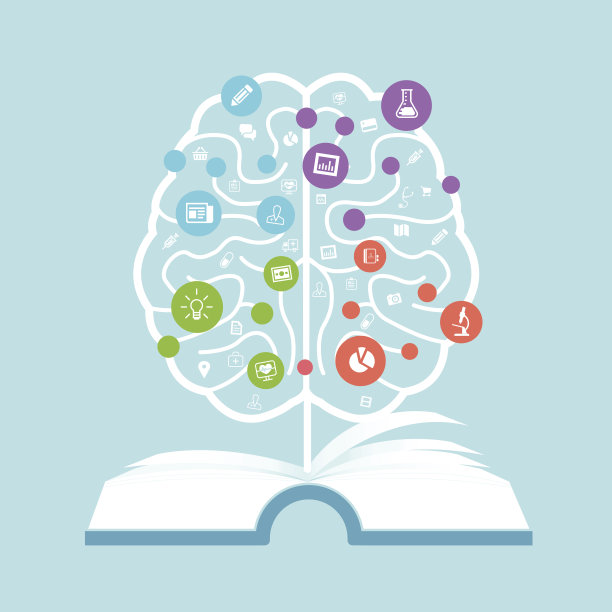 brain