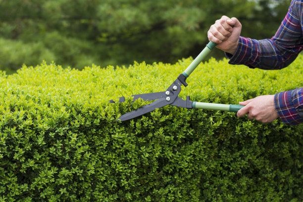 horticulture