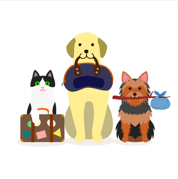 宠物猫宠物狗宠物店