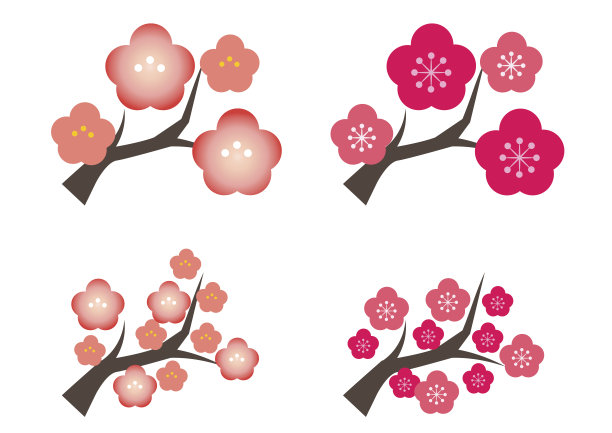 梅花图片