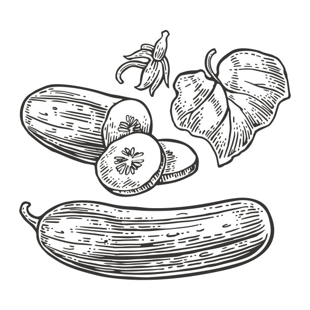 cucumber