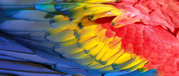 colorful