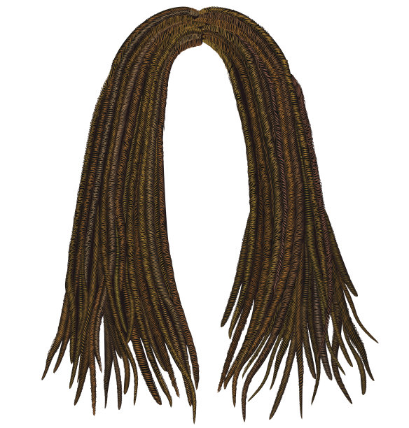 dreadlock