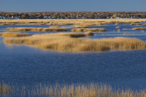 milford