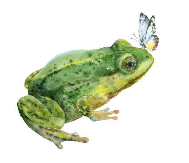 frog