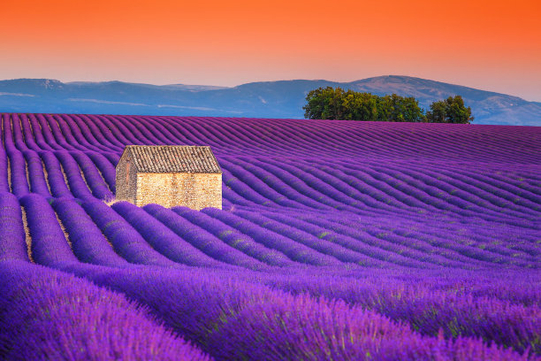 provence