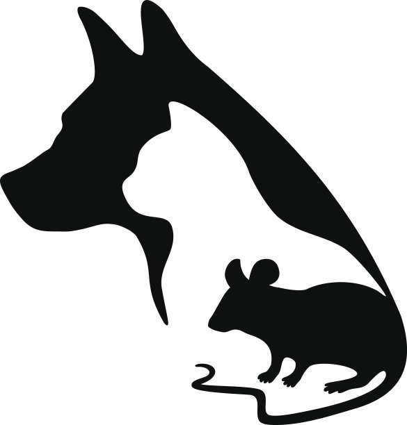 宠物猫宠物狗宠物店