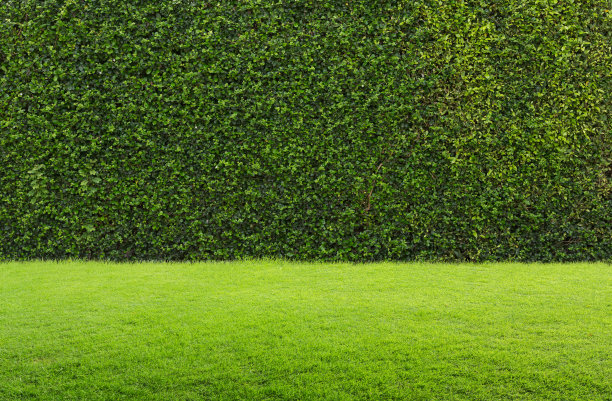 horticulture