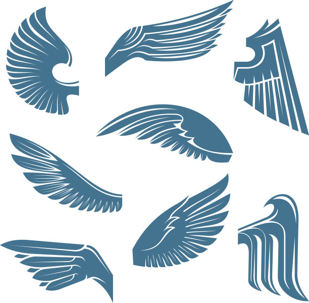 wings
