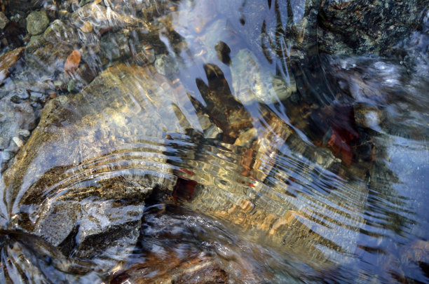 stream