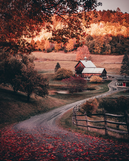 风景