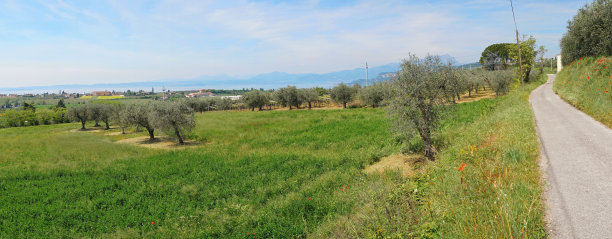 guarda