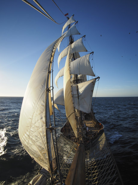 sail