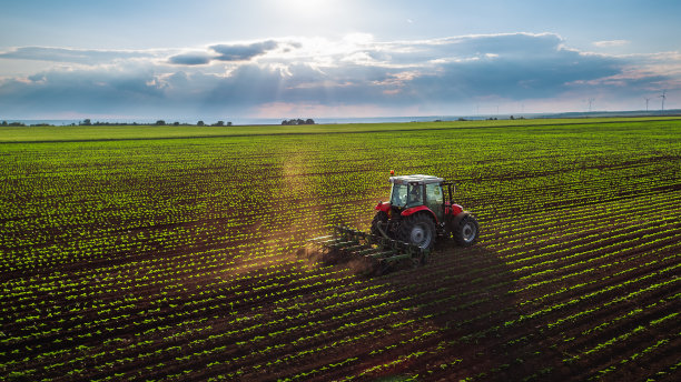 harvest