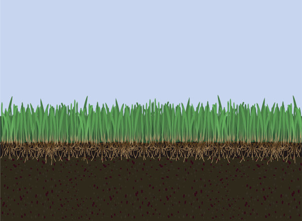 ground