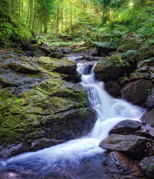 stream