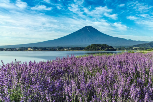 fuji