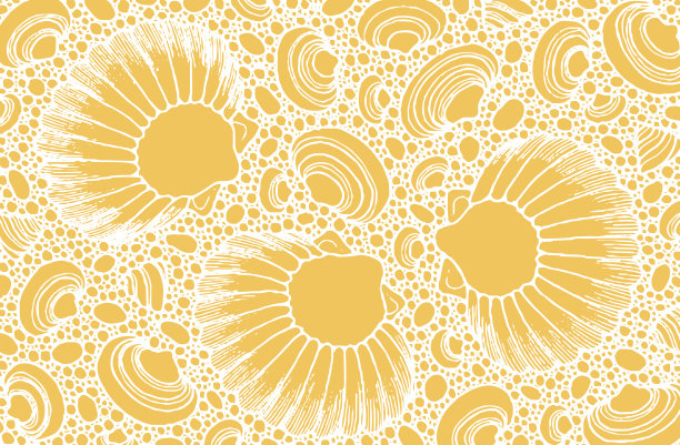 shells