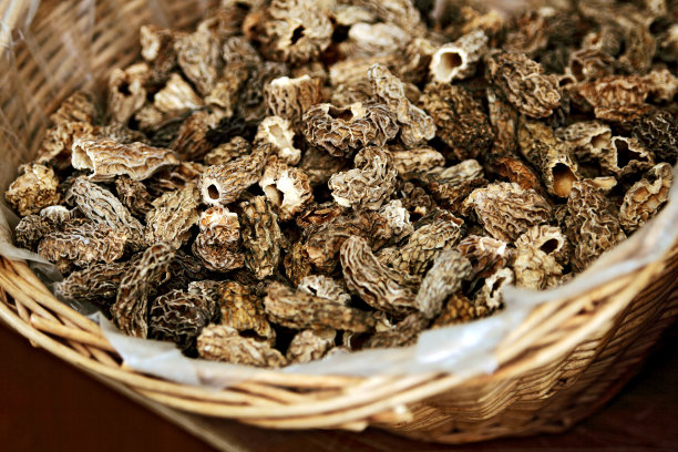 干羊肚菌