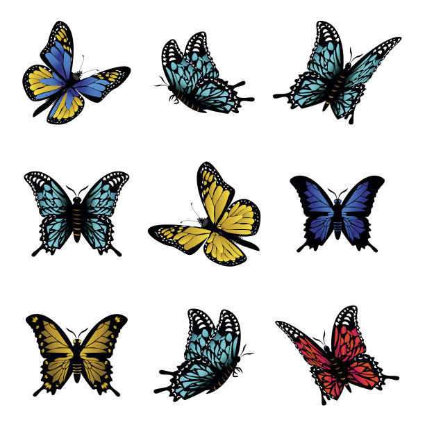 花卉蝴蝶装饰画