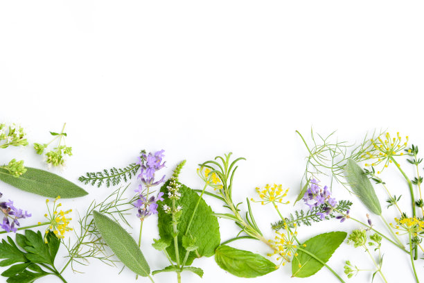 herbs
