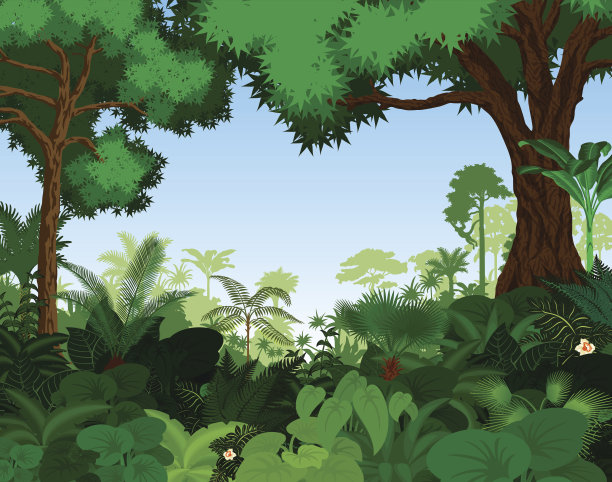 jungle