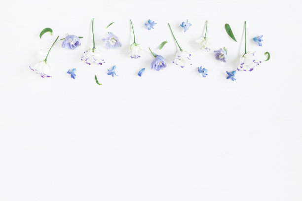 白紫花
