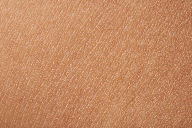 skin