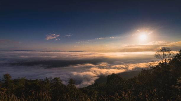 公园里醉人的风景