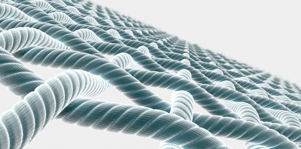 fabric