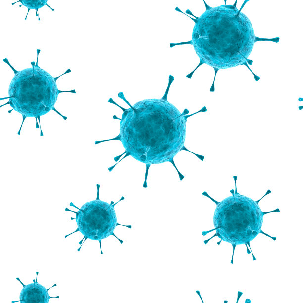 bacteria