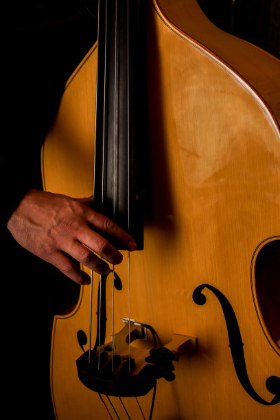 bass